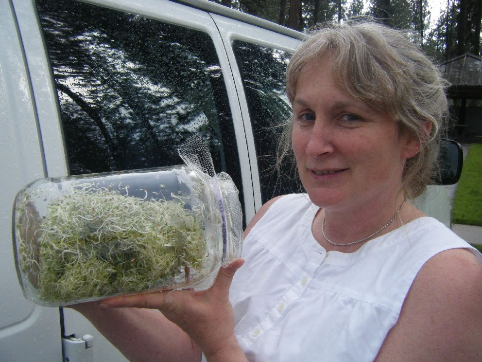 USA - Debbie grows sprouts to help keep us healthy